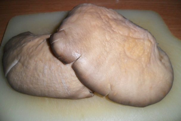 Nátierka z nivy a hlivy (fotorecept) - obrázok 1