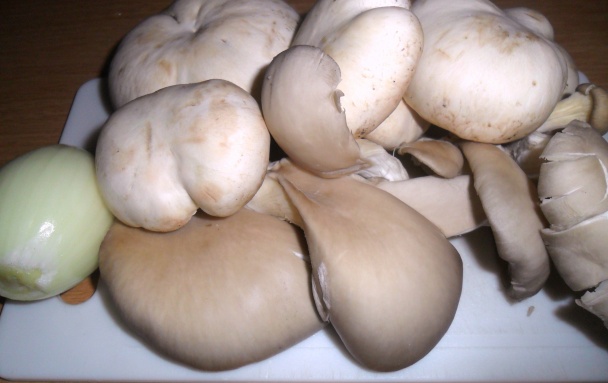 Huby v zemiakovej perinke - obrázok 3