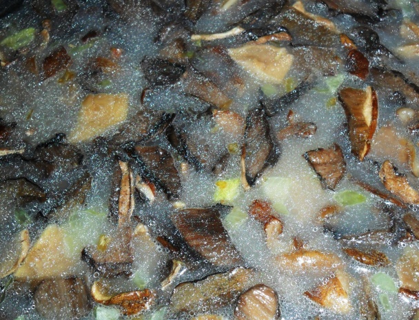 Krupkoto (fotorecept) - obrázok 2