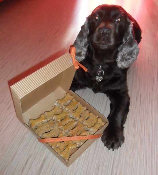 Kostičky pre psíčky (fotorecept) - obrázok 9