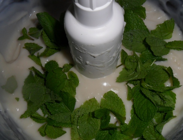 Mätovo - kokosový puding s čokoládou (fotorecept) - obrázok 6