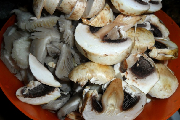 Paprikovo - hubová nátierka na hrianky (fotorecept) - obrázok 4