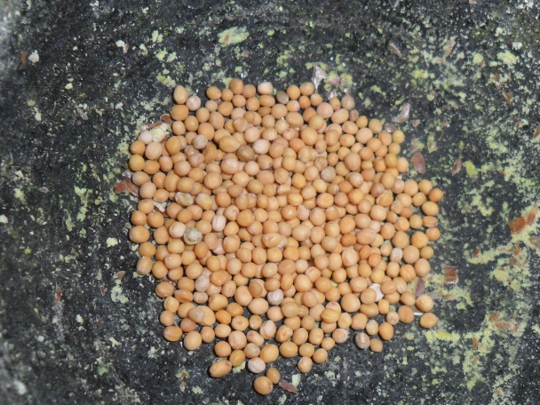 Paprikovo - hubová nátierka na hrianky (fotorecept) - obrázok 7