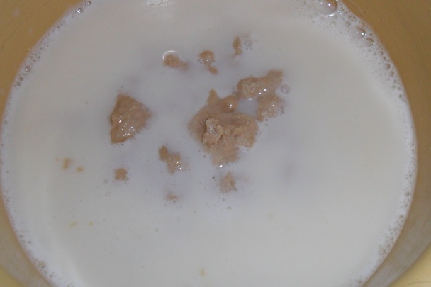 Žemličky a hubky -  jednohubky (fotorecept) - obrázok 1