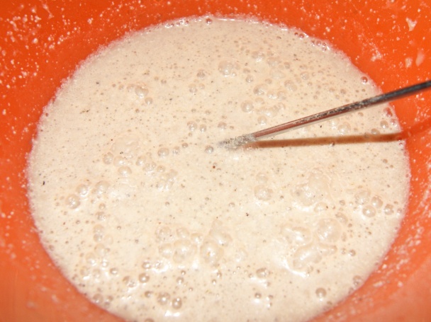 Zapekaný fenikel (fotorecept) - obrázok 5