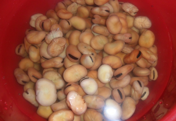 Pyré z bôbu a pečená brokolica (fotorecept) - obrázok 1