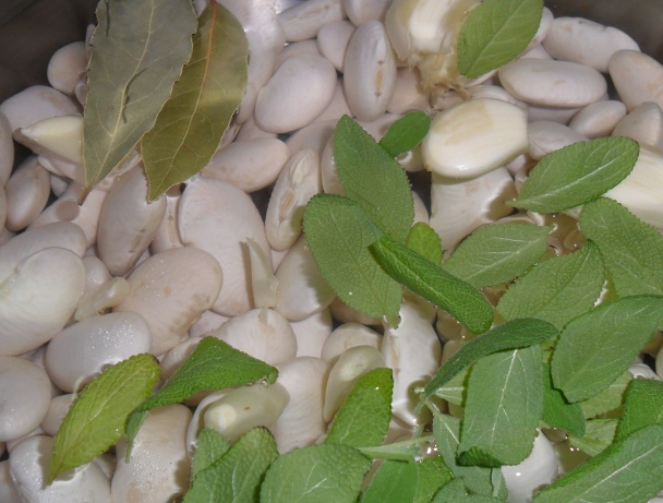 Chlebové paličky s fazuľovo - cesnakovou omáčkou (fotorecept) - obrázok 9