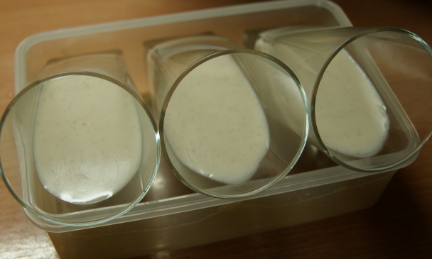 Kokosovo - vanilkové želé s kiwi (fotorecept) - obrázok 2