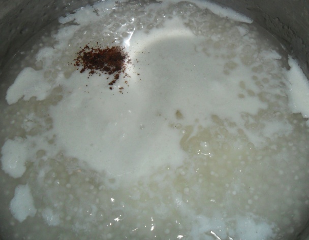 Tapiokový puding s citrusovo - karamelovou polevou (fotorecept) - obrázok 3