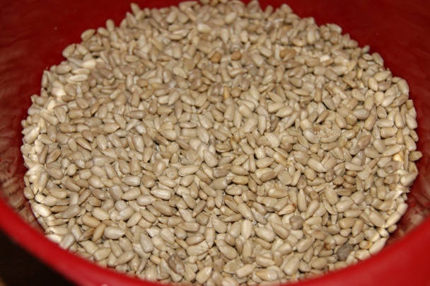 Slnečnicová nátierka a náhrada syra z kešu orieškov (fotorecept) - obrázok 1