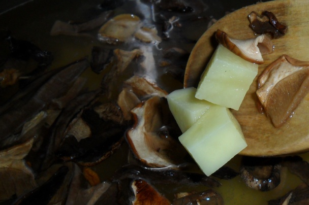 Polievka zo sušených lesných húb a čerstvých šampiňónov (fotorecept) - obrázok 3