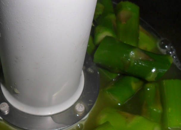 Hliva kráľovská na spôsob mušlí sv. Jakuba so špargľou (fotorecept) - obrázok 7