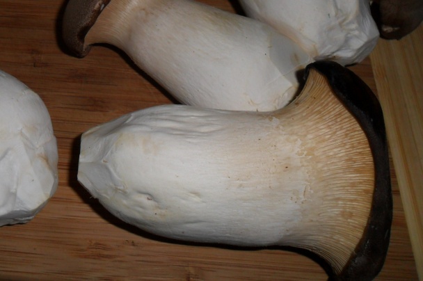 Slimáčikovia (fotorecept) - obrázok 6