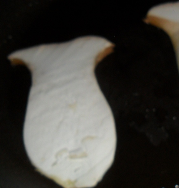 Slimáčikovia (fotorecept) - obrázok 7