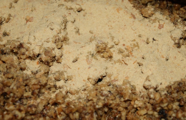 Orechové pagáče (fotorecept) - obrázok 5