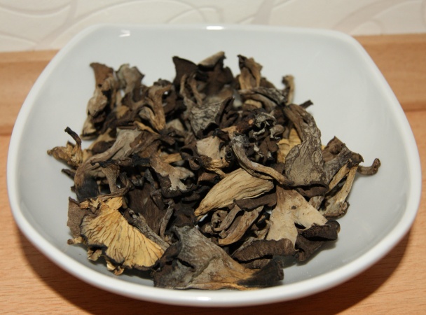 Medvedí pochod (fotorecept) - obrázok 1