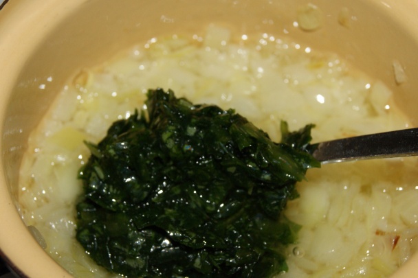 Medvedí pochod (fotorecept) - obrázok 6