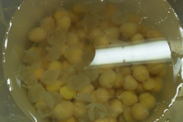 Bonbóny s cícerom a brusnicami (fotorecept) - obrázok 2