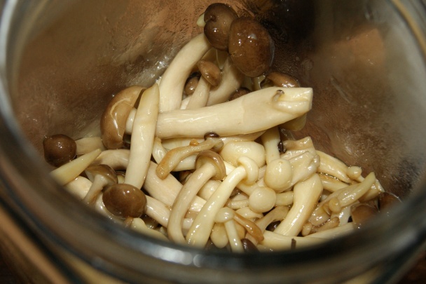 Baklažánové rolky so zemiakmi, špenátom a hubami (fotorecept) - obrázok 3