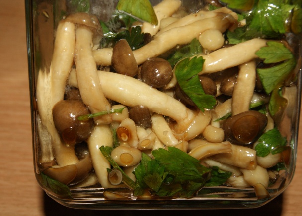 Baklažánové rolky so zemiakmi, špenátom a hubami (fotorecept) - obrázok 5