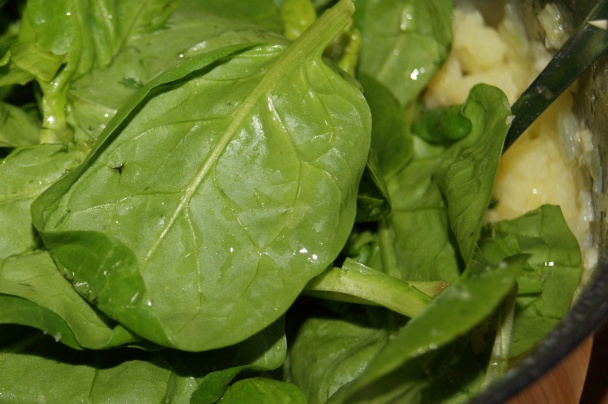 Baklažánové rolky so zemiakmi, špenátom a hubami (fotorecept) - obrázok 10