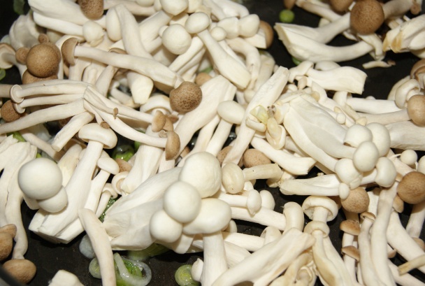 Udon rezance s tofu, špenátom a hubami shimeji (fotorecept) - obrázok 8