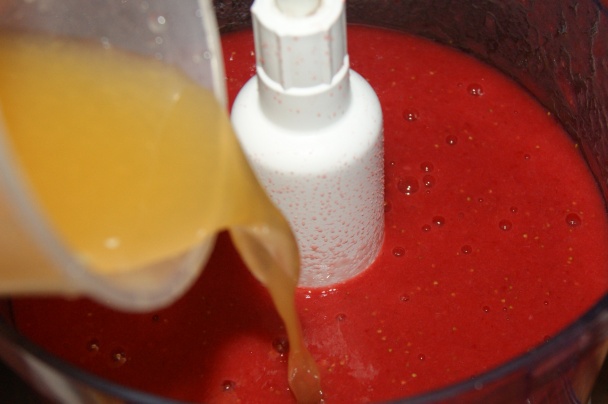 Kakaová zmrzlina a jahodovo - pomarančový sorbet (fotorecept) - obrázok 9