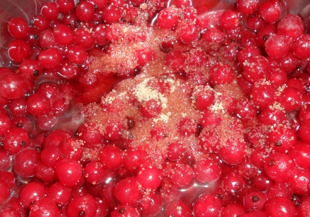 Ríbezľovo - kokosový koláč (fotorecept) - obrázok 7