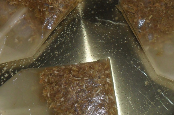 Rumančekové koláčiky s ovocným krémom (fotorecept) - obrázok 1