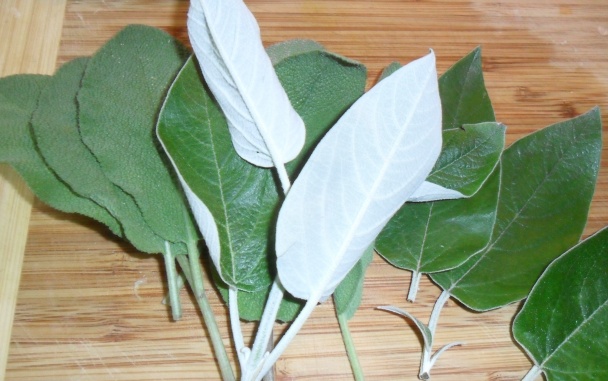 Pórová polievka so zemiakmi a šalviou (fotorecept) - obrázok 6