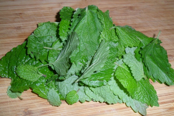 Tofu s mätovo - pistáciovou kôrkou (fotorecept) - obrázok 2