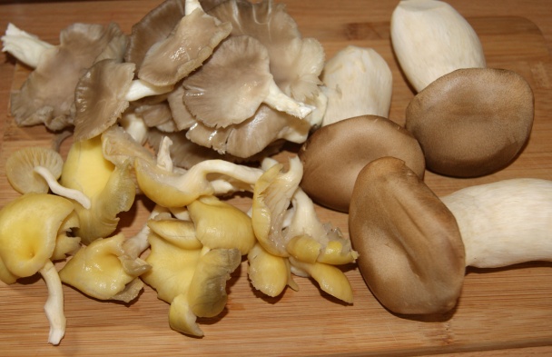 Cícer s grilovanou hlivou (fotorecept) - obrázok 9