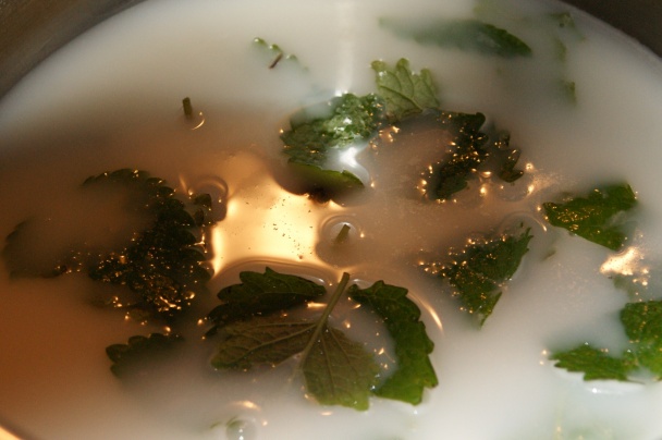 Malinovo - medovkový tapiokový puding (fotorecept) - obrázok 2