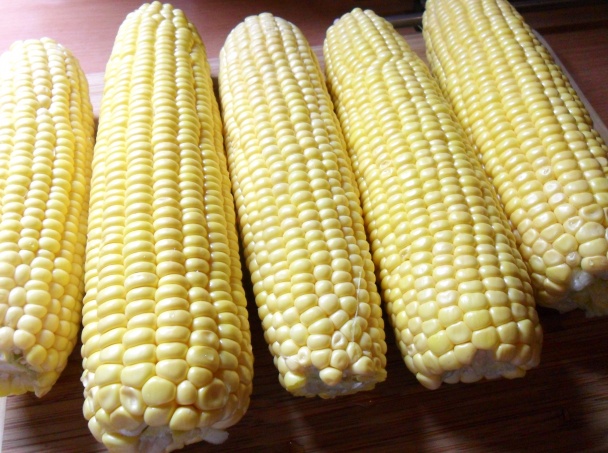 Kaša z čerstvej kukurice (fotorecept) - obrázok 1