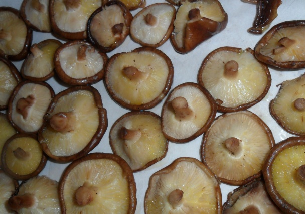 Kaša z čerstvej kukurice (fotorecept) - obrázok 6