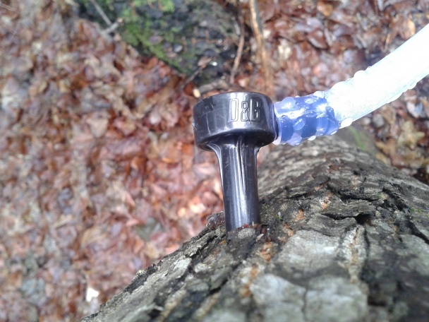 Domáci javorový sirup II (fotorecept) - obrázok 3