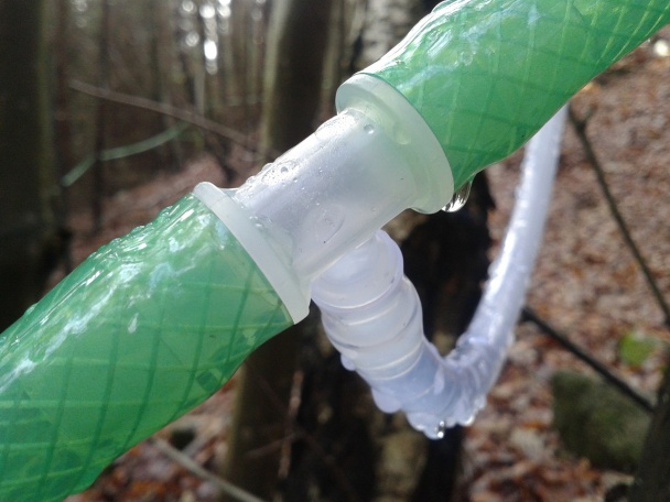 Domáci javorový sirup II (fotorecept) - obrázok 4