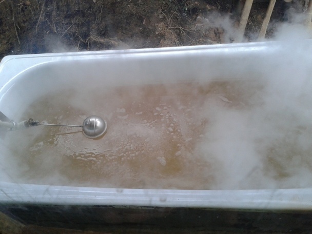 Domáci javorový sirup II (fotorecept) - obrázok 10