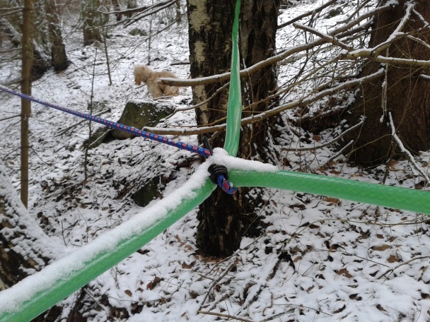 Domáci javorový sirup II (fotorecept) - obrázok 12