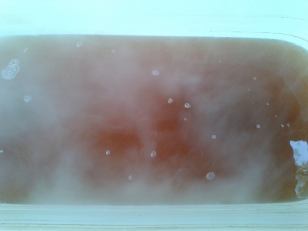 Domáci javorový sirup II (fotorecept) - obrázok 13