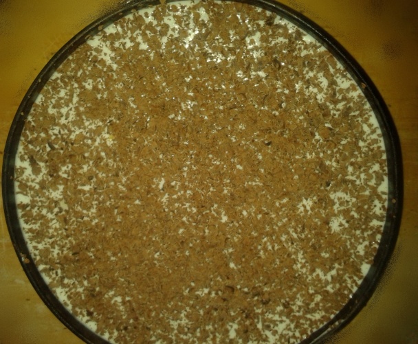 Stracciatella  torta (fotorecept) - obrázok 3
