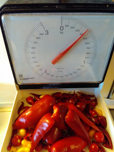 Erös pista - obrázok 2