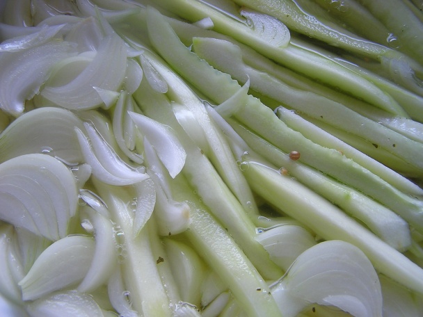 Rusle (fotorecept) - obrázok 3