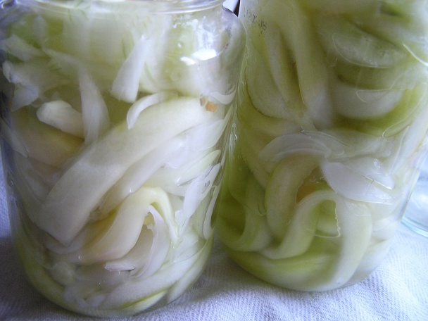 Rusle (fotorecept) - obrázok 4