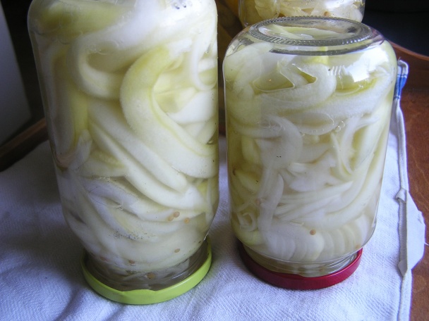 Rusle (fotorecept) - obrázok 5