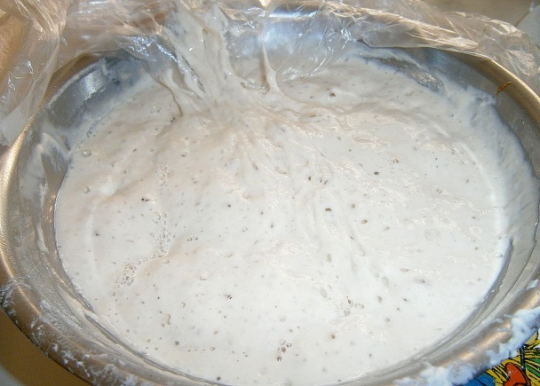 Anettky s prefermentom (fotorecept) - obrázok 1
