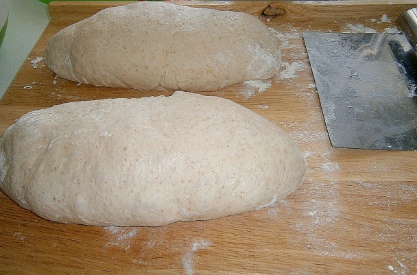 Anettky s prefermentom (fotorecept) - obrázok 3