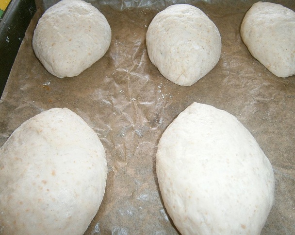 Anettky s prefermentom (fotorecept) - obrázok 5