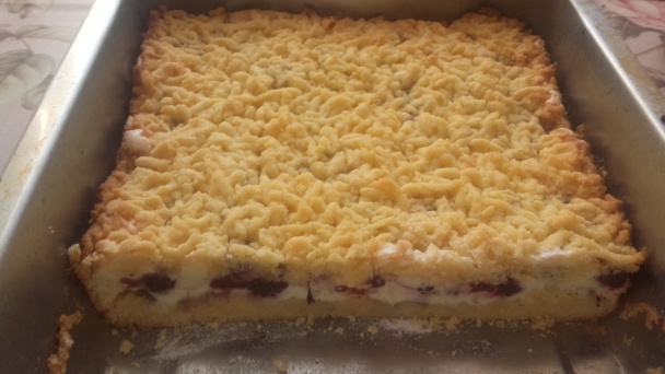 Černicový múčnik (fotorecept) - obrázok 8