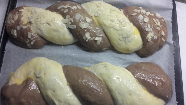 Kvásková dvojfarebná resanka (fotorecept) - obrázok 11